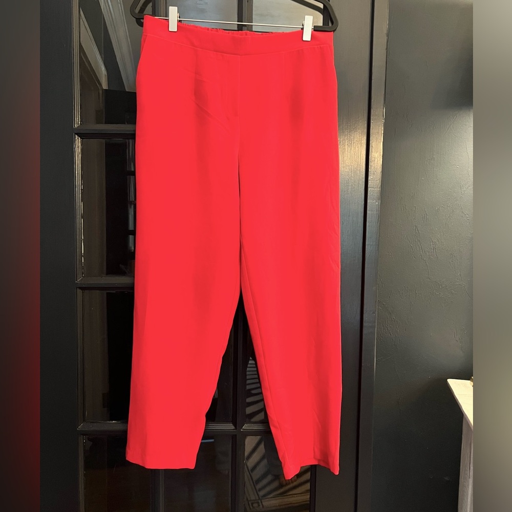 VICI ankle length dress pants
